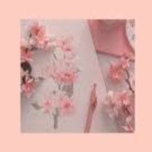 Meet your Posher, Mia